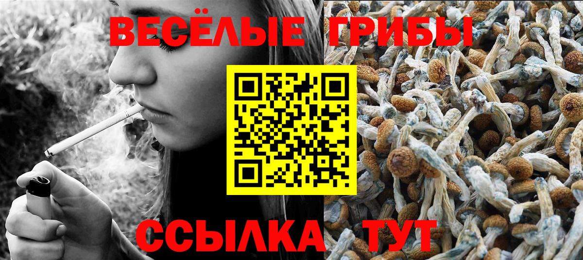 Ковров  Галлюциногенные грибы Magic Shrooms  Вход с VPN 