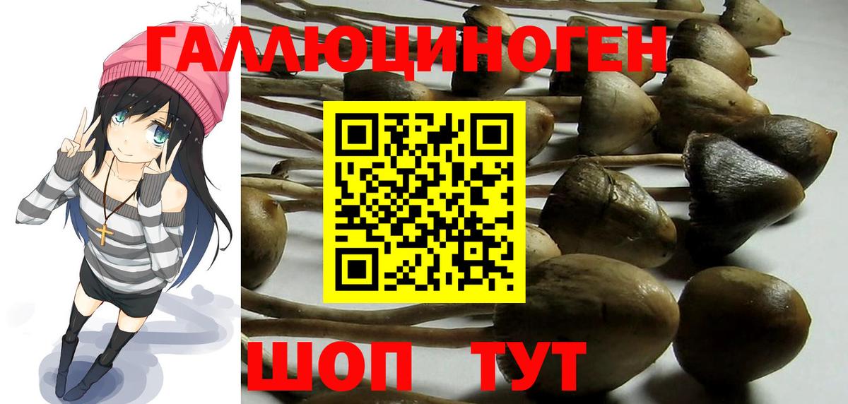 Псилоцибиновые грибы Magic Shrooms Ковров