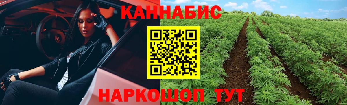 APVP Ковров